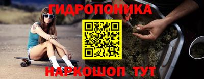 гашик Кунгур
