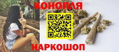 гашик Кунгур