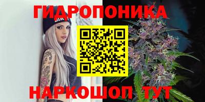 спайс Кулебаки